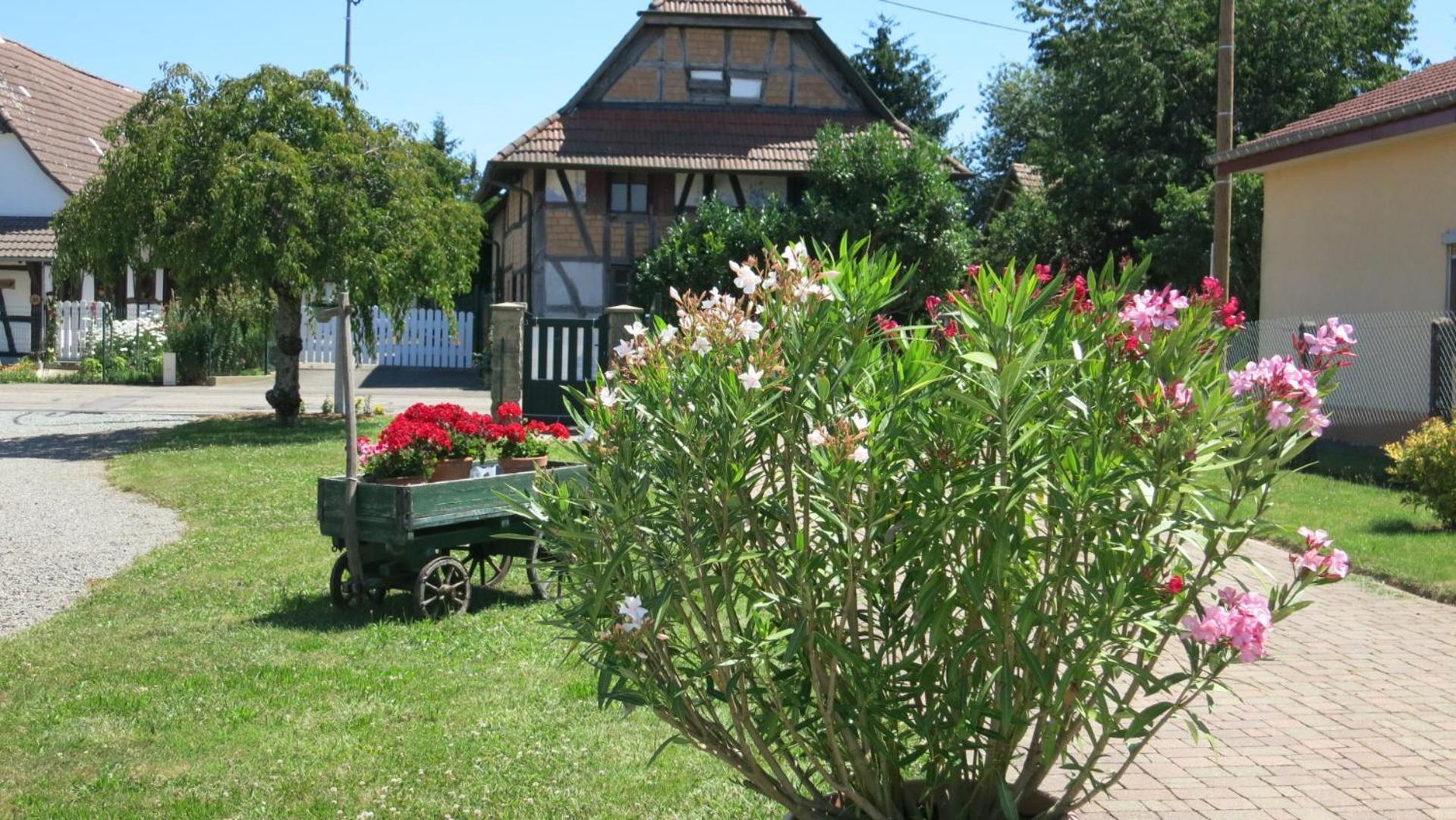 Gite Les Herissons Guevenatten Exterior foto